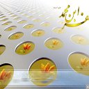 ���� Yashar, ����, 31 ��� - ��������� 27 ��� 2012