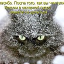 ���� ����� - ���������� ��������!!!, �����������, 56 ��� - ��������� 13 ������� 2009 � ������ ��������� ����һ