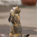 ���� Angely, ������� - ��������� 2 ������ 2011 � ������ ���� ����������