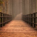 ���� �������, ��������, 60 ��� - ��������� 24 ��� 2013 � ������ ���� ����������