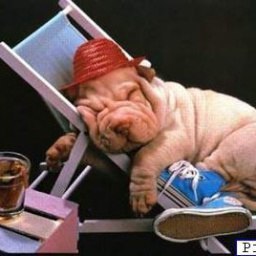 ������, ��������, 44 ����