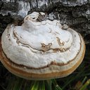 ���� ���������, ���������� - ��������� 23 ������� 2010 � ������ �������������Ż