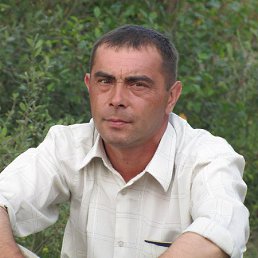 �����, ������, 51 ���