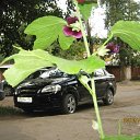 ���� ����, ���, 57 ��� - ��������� 11 ����� 2012 � ������ ���� ����������