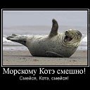 ���� ����, �����-���������, 41 ��� - ��������� 19 ������ 2013 � ������ ���� ����������