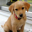 ���� �����, ���� - ��������� 26 ������� 2013 � ������ ���� ������ ������� �����, ��� ������ �������� ������)))�