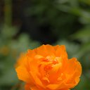 ���� ���������, ���������� - ��������� 4 ���� 2013 � ������ ���� ����������