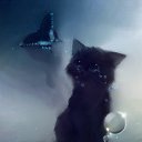 ���� ���, ����, 41 ��� - ��������� 31 ������ 2012 � ������ ���� ����������