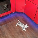 ��� ������ �� ������� ���� ����������