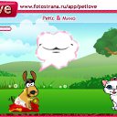  , , 33  -  10  2010   PetLove