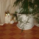 ���� ������, ������������ - ��������� 13 ������� 2011 � ������ ���� ����������