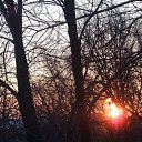 ���� �����, ������ - ��������� 2 ����� 2013 � ������ ������� ���������