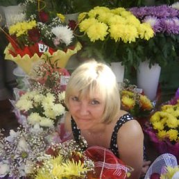 Nadine, �����������