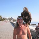 ���� ���������, �����������, 66 ��� - ��������� 7 ������� 2012 � ������ ���� ����������