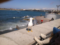 ���� �������, �����������, 54 ���� - ��������� 29 ��� 2012