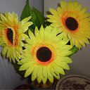 ���� Isabelle, ���������� - ��������� 1 ���� 2010 � ������ ��������