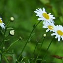 ��� ������� �����������. �� ������� ���������