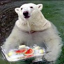 ���� Wonderland, ������ - ��������� 20 ����� 2010 � ������ ������