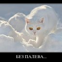 ���� ������, �����, 28 ��� - ��������� 11 ������ 2010