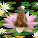 ���� ������, ���������, 48 ��� - ��������� 16 ����� 2010 � ������ ��������