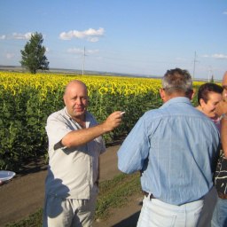 ����, ������������, 61 ���