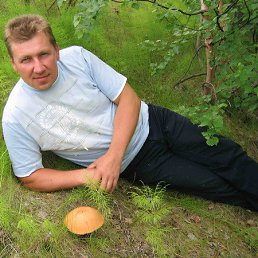 �����, ������, 59 ���