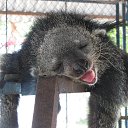 �������