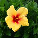 ���� ����� - ���������� ��������!!!, �����������, 56 ��� - ��������� 4 ������ 2010 � ������ �����ۻ