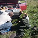 ���� ����, ������������, 43 ���� - ��������� 17 ������� 2011