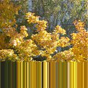 ���� �����, ����� - ��������� 25 ��� 2011 � ������ ����� �� ���� �����