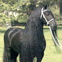 ���� ���, �������, 67 ��� - ��������� 16 ������� 2011 � ������ ��������))�