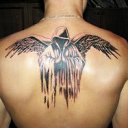 ���� ���, ��������, 28 ��� - ��������� 8 ������ 2012