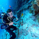 ���� ������, ������ - ��������� 18 ������ 2011 � ������ ���� ����������