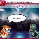 ���� ����, �����������, 23 ���� - ��������� 12 ������ 2010 � ������ �PetLove�