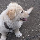 ���� �����, ��������, 24 ���� - ��������� 13 ���� 2012 � ������ ���� ����������