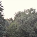 ���� ������, ������, 62 ���� - ��������� 20 ���� 2010 � ������ �������