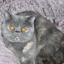 ���� �����, �������, 49 ��� - ��������� 10 ������� 2012 � ������ ���� ����������