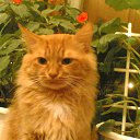  !!!!!!!!!!, , 60  -  7  2011   