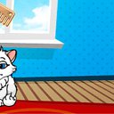 ���� �������, ������, 41 ��� - ��������� 16 ������ 2010 � ������ ���� ������� ������ֻ