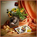 ���� ����, �����, 49 ��� - ��������� 25 ���� 2010