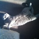 ���� ������, ������, 49 ��� - ��������� 14 ������� 2011 � ������ �PetLove�