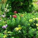 ���� �����, �������, 44 ���� - ��������� 17 ��� 2010 � ������ ������ � ���� ����