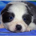 ���� ���, ��������, 53 ���� - ��������� 19 ��� 2011 � ������ �������