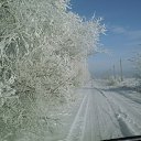  , --, 56  -  17  2010     ...