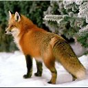 ���� "@����", �����-���������, 25 ��� - ��������� 6 ���� 2010 � ������ ��������-���������