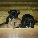 ���� ���������, �����������, 43 ���� - ��������� 11 ������ 2012 � ������ �_.-;(*,!,*);-,_�