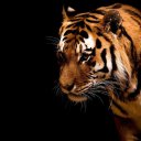 ���� Kaizen, �����������, 41 ��� - ��������� 13 ������ 2012 � ������ �������