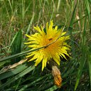 ���� ��������, ������, 72 ���� - ��������� 13 �������� 2011 � ������ ��������