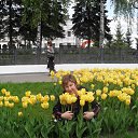 ���� �������, ������, 63 ���� - ��������� 14 ����� 2013