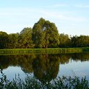 ���� Tatyana, �������, 50 ��� - ��������� 4 �������� 2009 � ������ �������